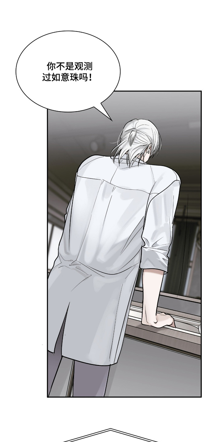 如意追影电视剧全集免费观看漫画,第45章：有什么办法4图