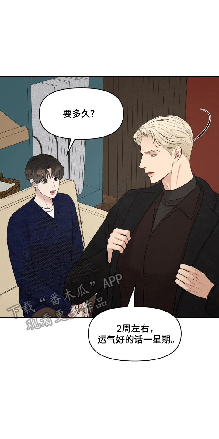 油画吊兰怎样修剪和扦插漫画,第42章：保密协议3图