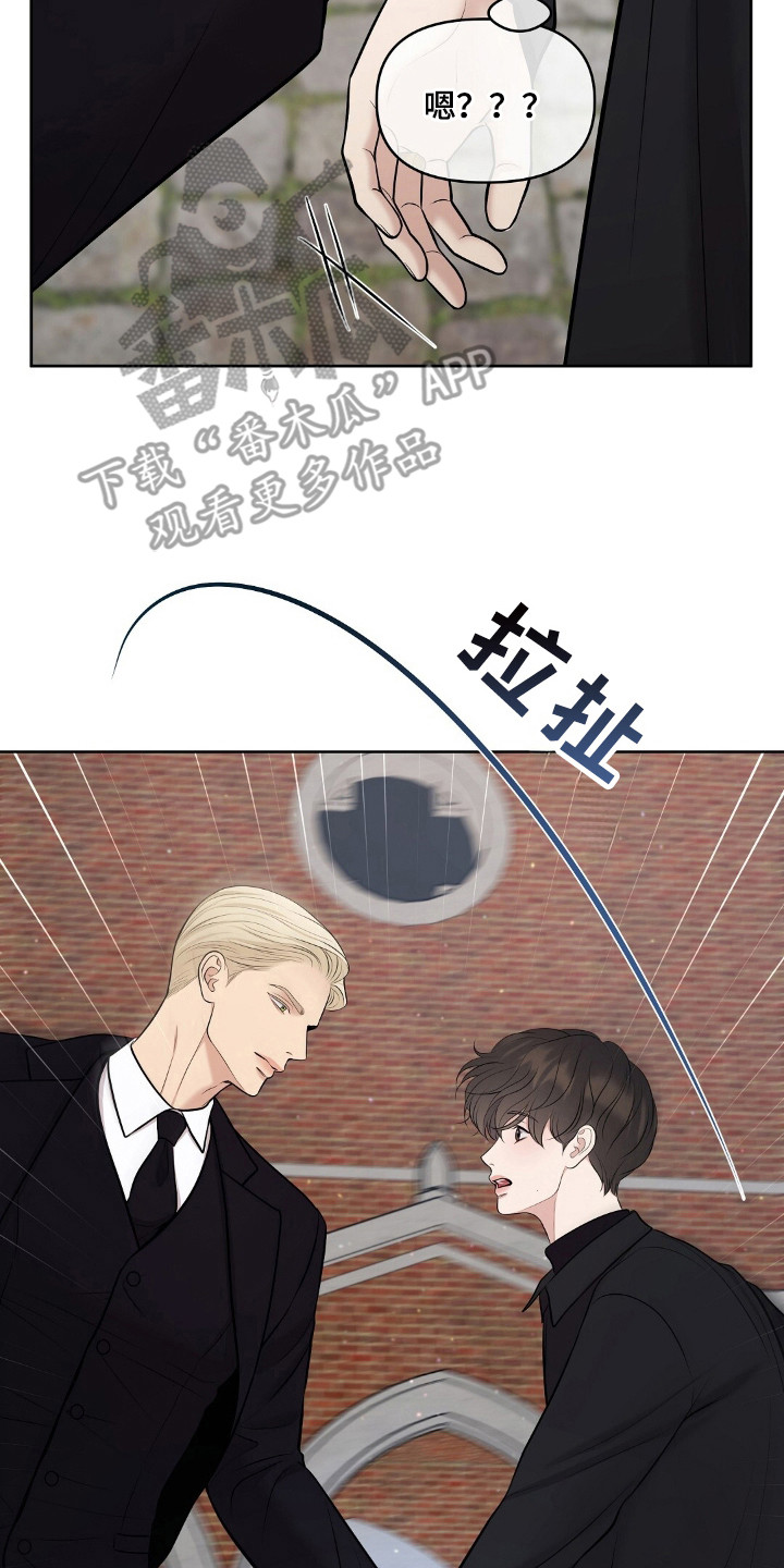 油画狂欢节漫画,第46章：无血无泪4图