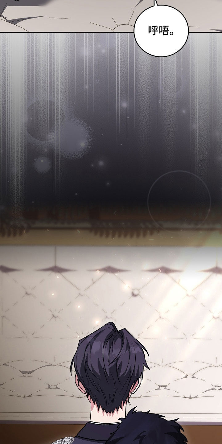 疯批大公的玩偶漫画,第41章：我没疯4图