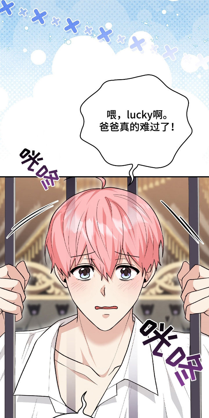 大型疯兔玩偶漫画,第39章：幻听2图