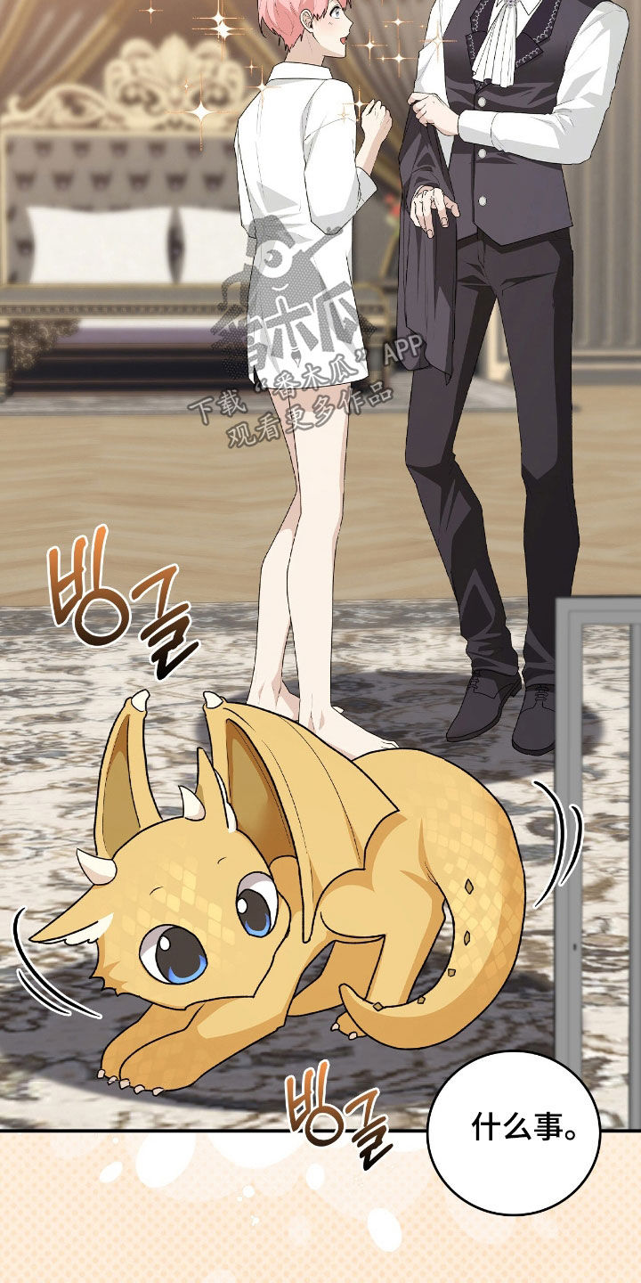 疯批大公的玩偶漫画,第42章：外出请求4图