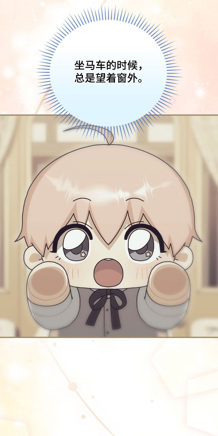 疯批大公的玩偶叫什么名字漫画,第42章：外出请求3图