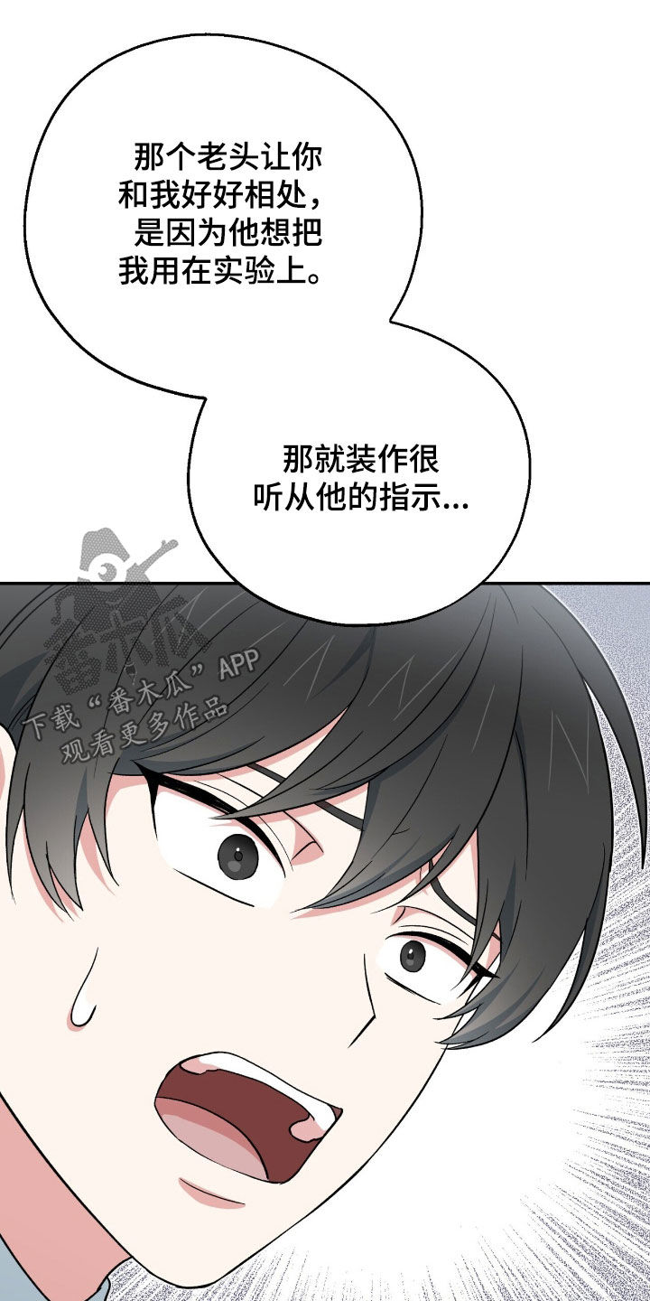 黑暗时代第6关困难漫画,第30章：管好你自己吧4图