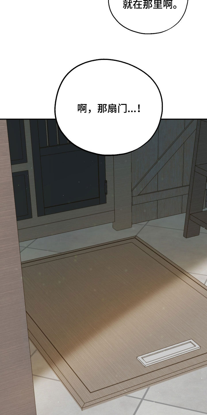 植物大战僵尸2黑暗时代漫画,第27章：唯一的方法1图