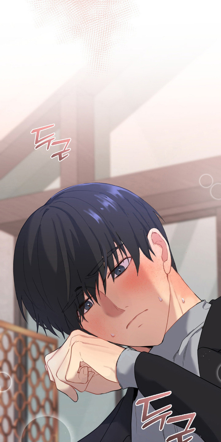 阴暗的地下室养什么鱼漫画,第15章：很可爱3图