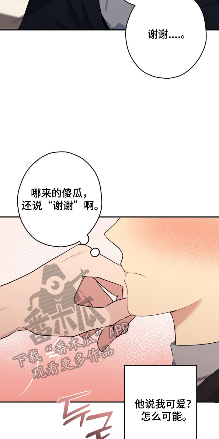 阴暗的地下室养什么鱼漫画,第15章：很可爱1图