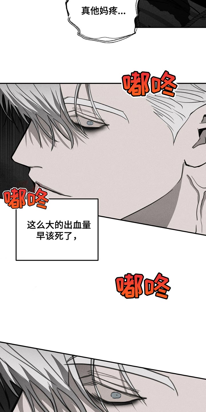 逃离地下室漫画,第7章：认真点3图