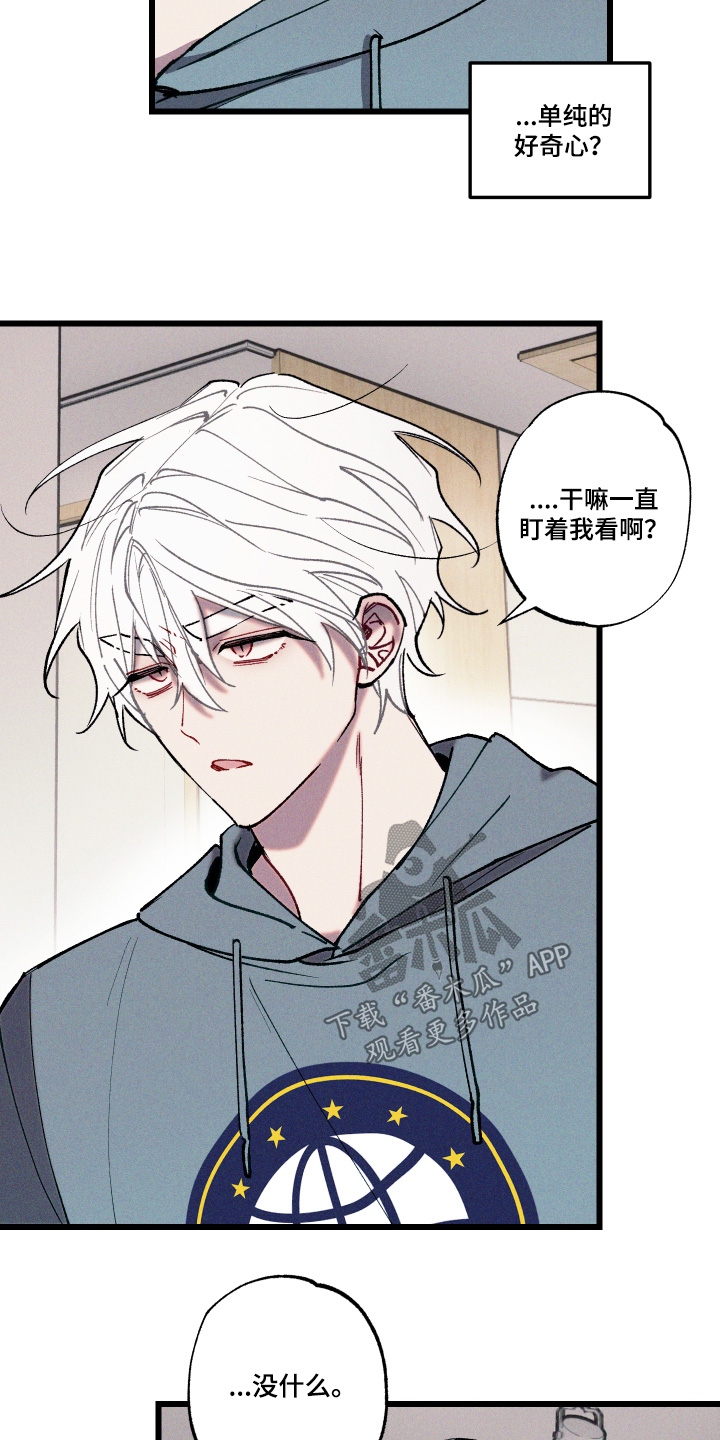 命运的名字漫画,第21章：只是好奇3图