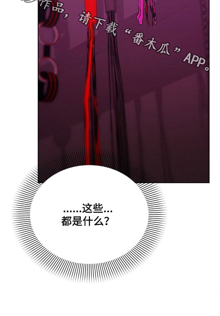 特殊绘画软件漫画,第24章：山庄别墅2图
