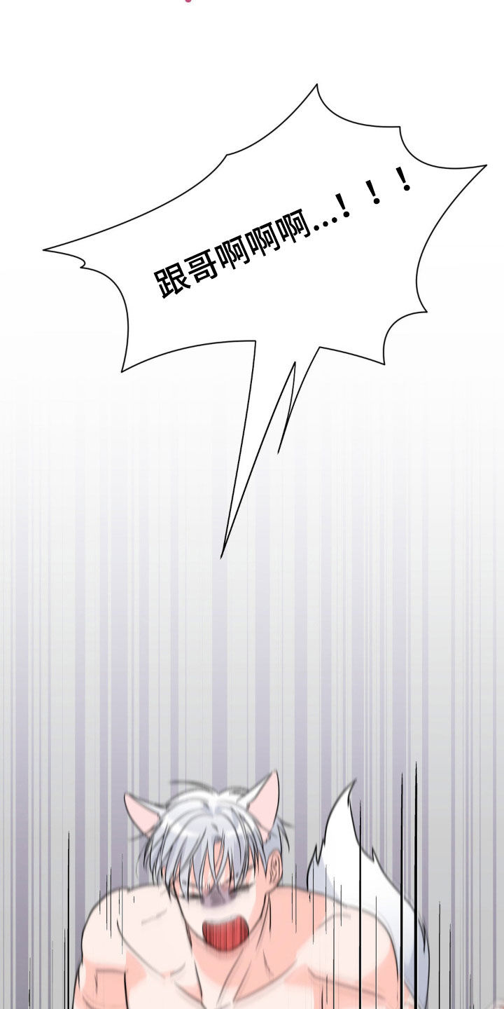 养狼为患by漫画,第17章：真的很幸福5图