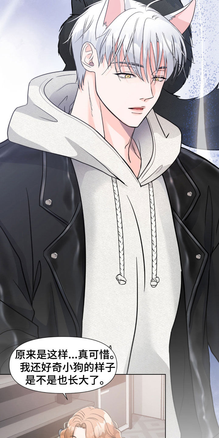 养狼为患by漫画,第15章：喝酒4图