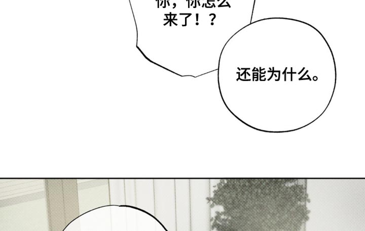 无息创业贷款政策漫画,第23章：我陪你5图