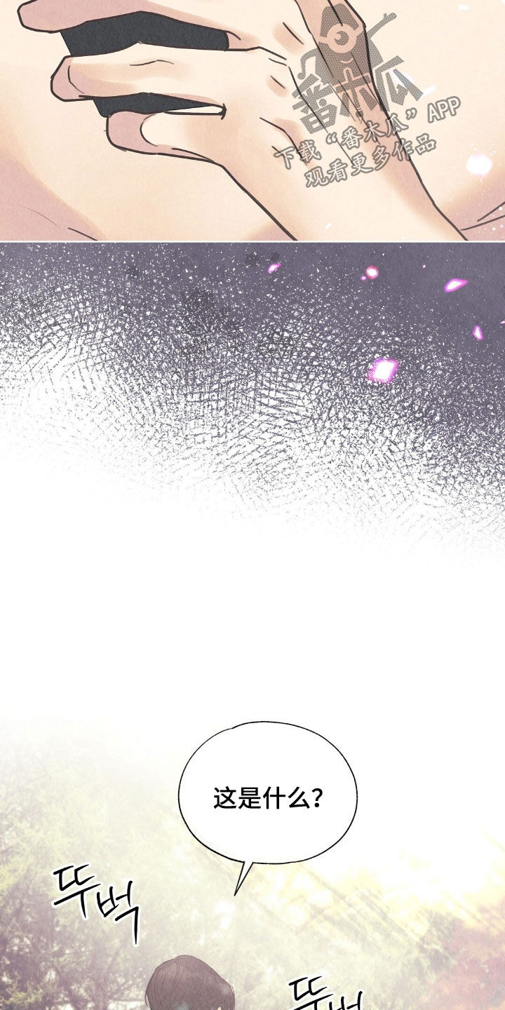 雨无痕的直播漫画,第27章：名片5图