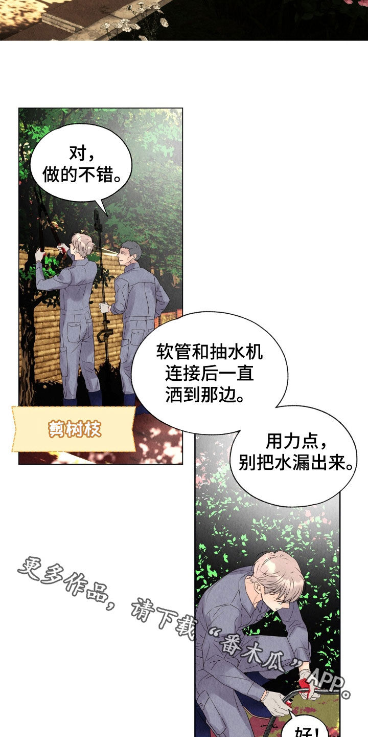 第26章：抵抗不了命运0