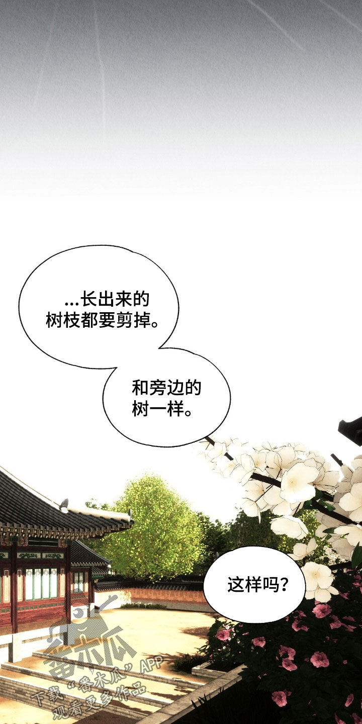 第26章：抵抗不了命运4