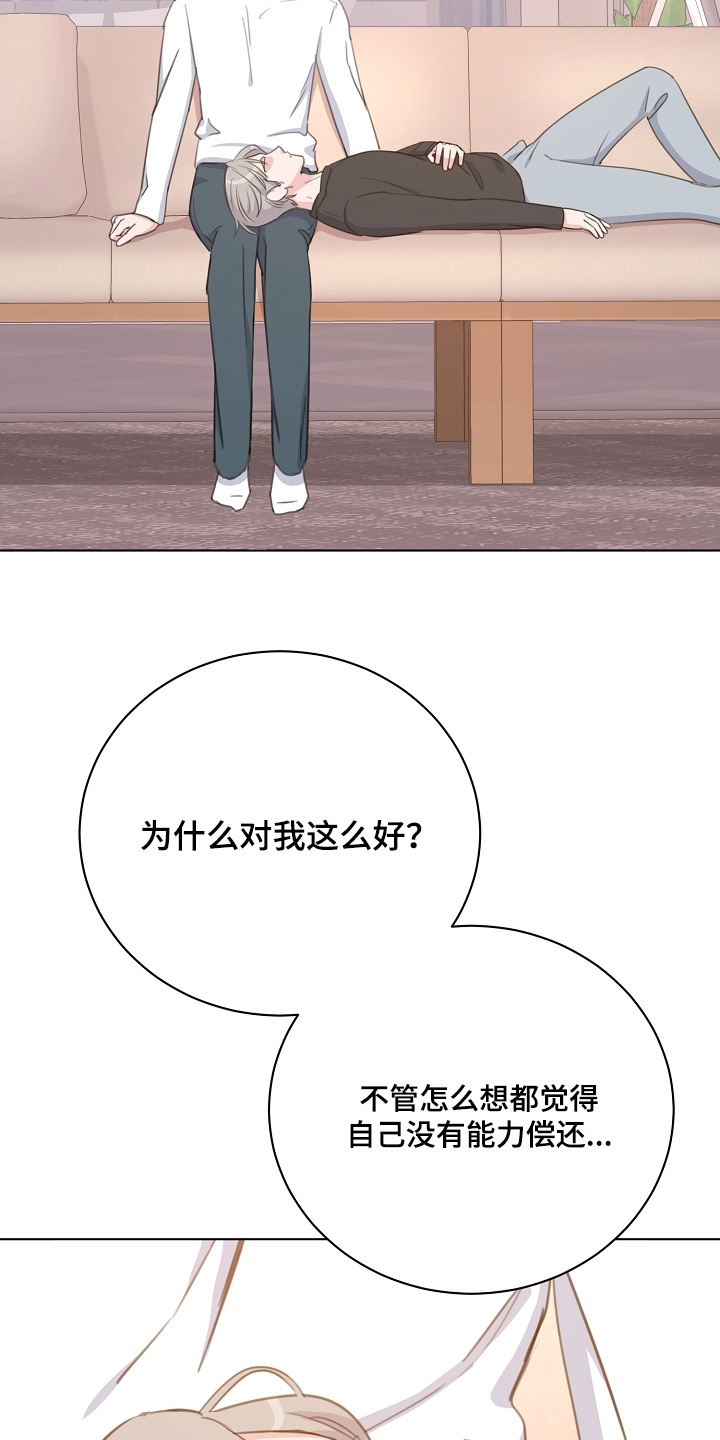 贷命协约漫画,第15章：有什么理由5图