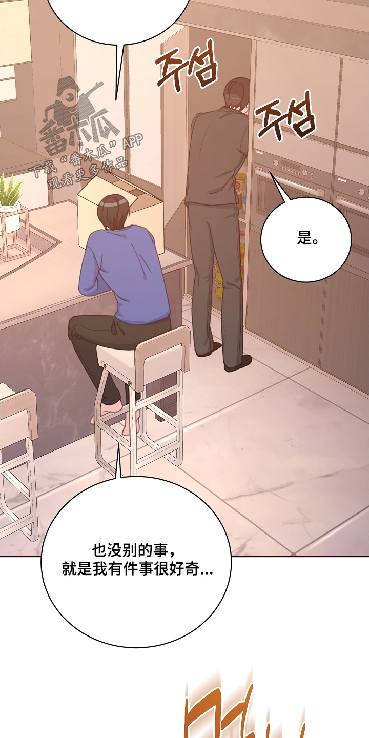 贷款等额本金和等额本息哪个划算漫画,第18章：什么都可以4图