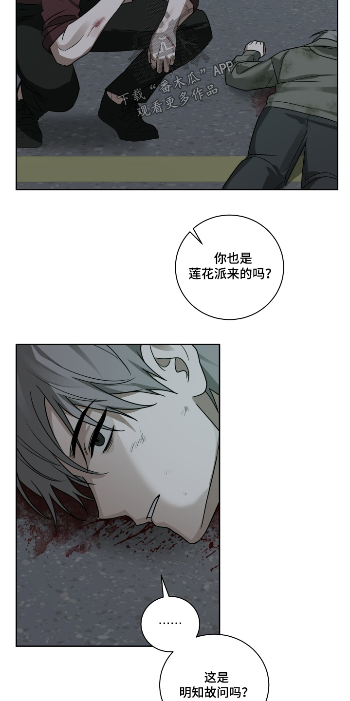 绯色默示漫画更新漫画,第18章：给个痛快2图