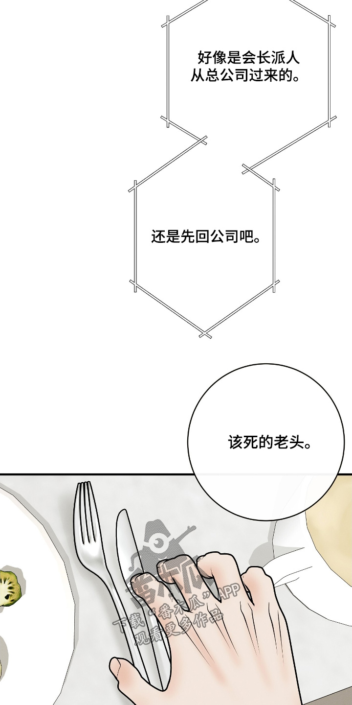 金主全文下载漫画,第28章：我请客3图