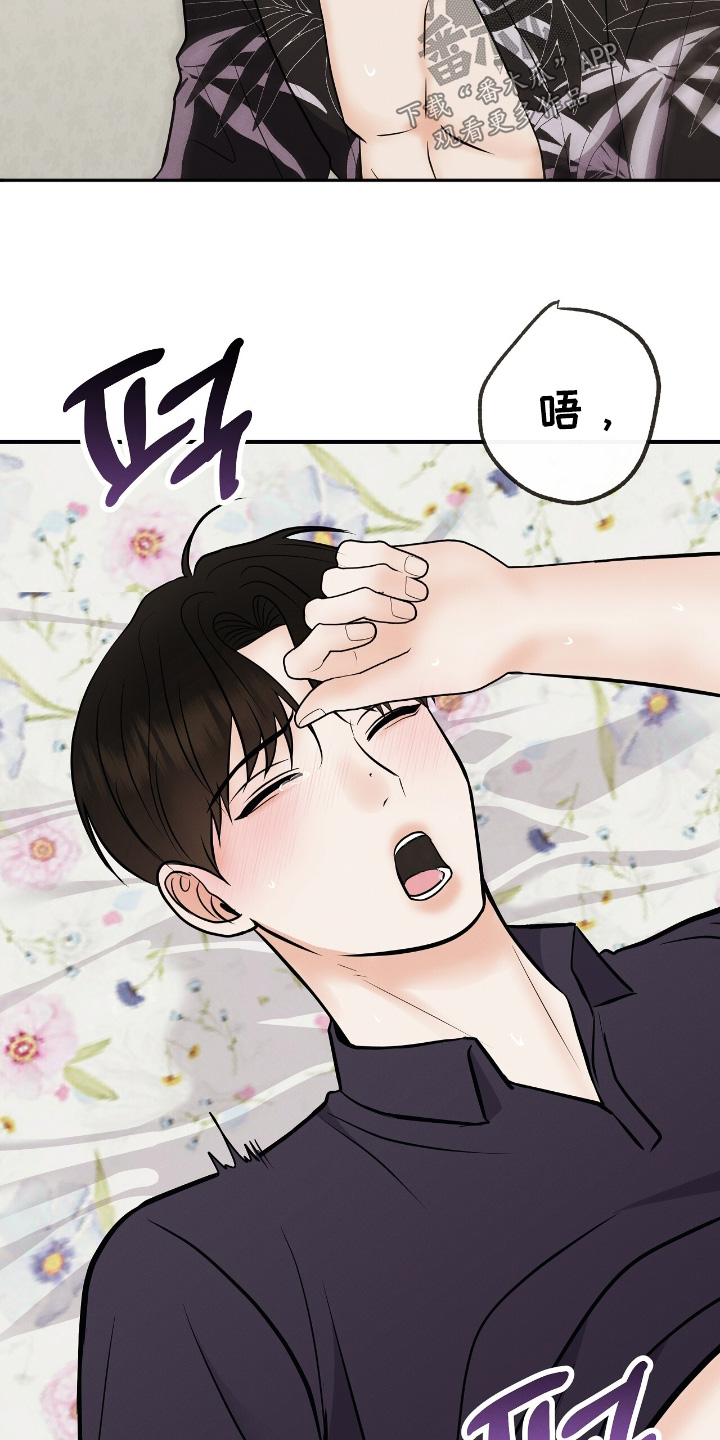 金主请上当内容简介漫画,第31章：快点5图