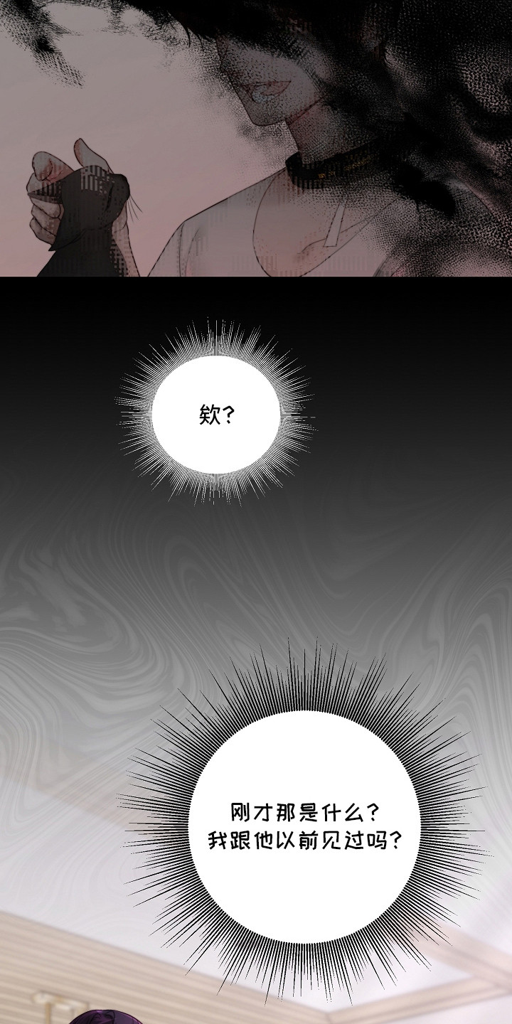 傀儡汉献帝刘协漫画,第7章：解释3图