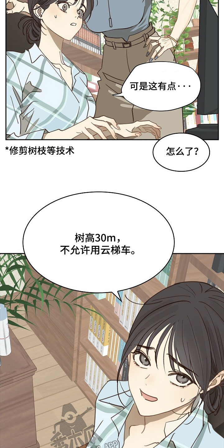 花是诱饵小说在哪看漫画,第49章：冷静4图