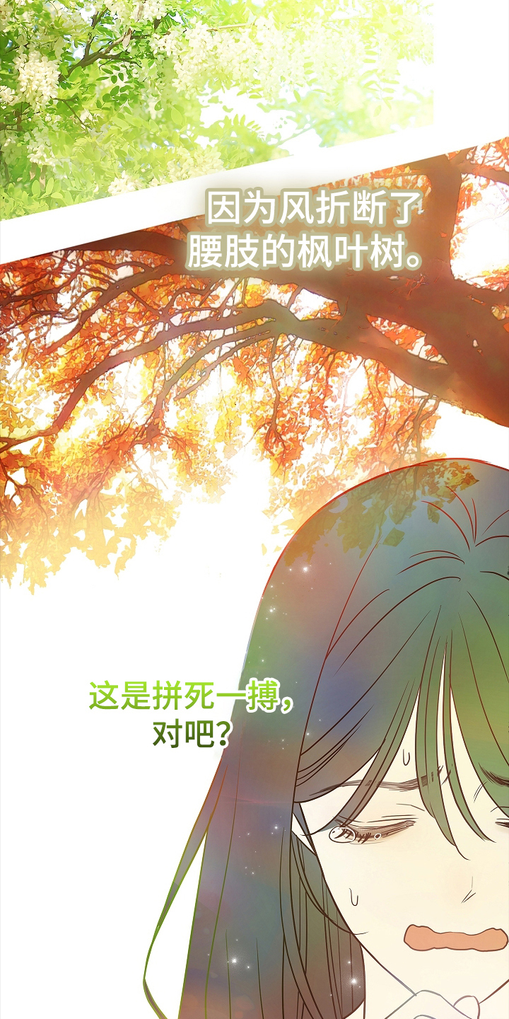 花是诱饵漫画在哪可以看全集漫画,第12章：谎言2图