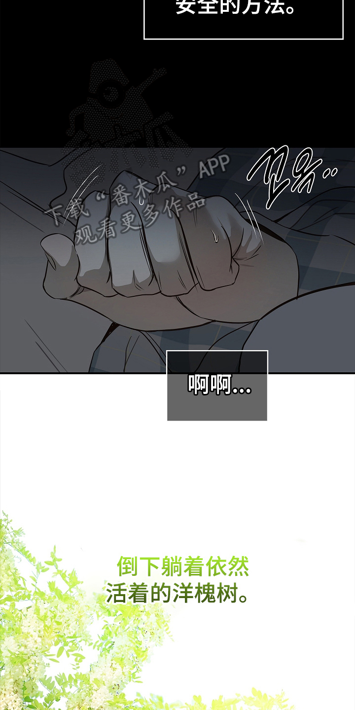 花是诱饵漫画在哪可以看全集漫画,第12章：谎言1图