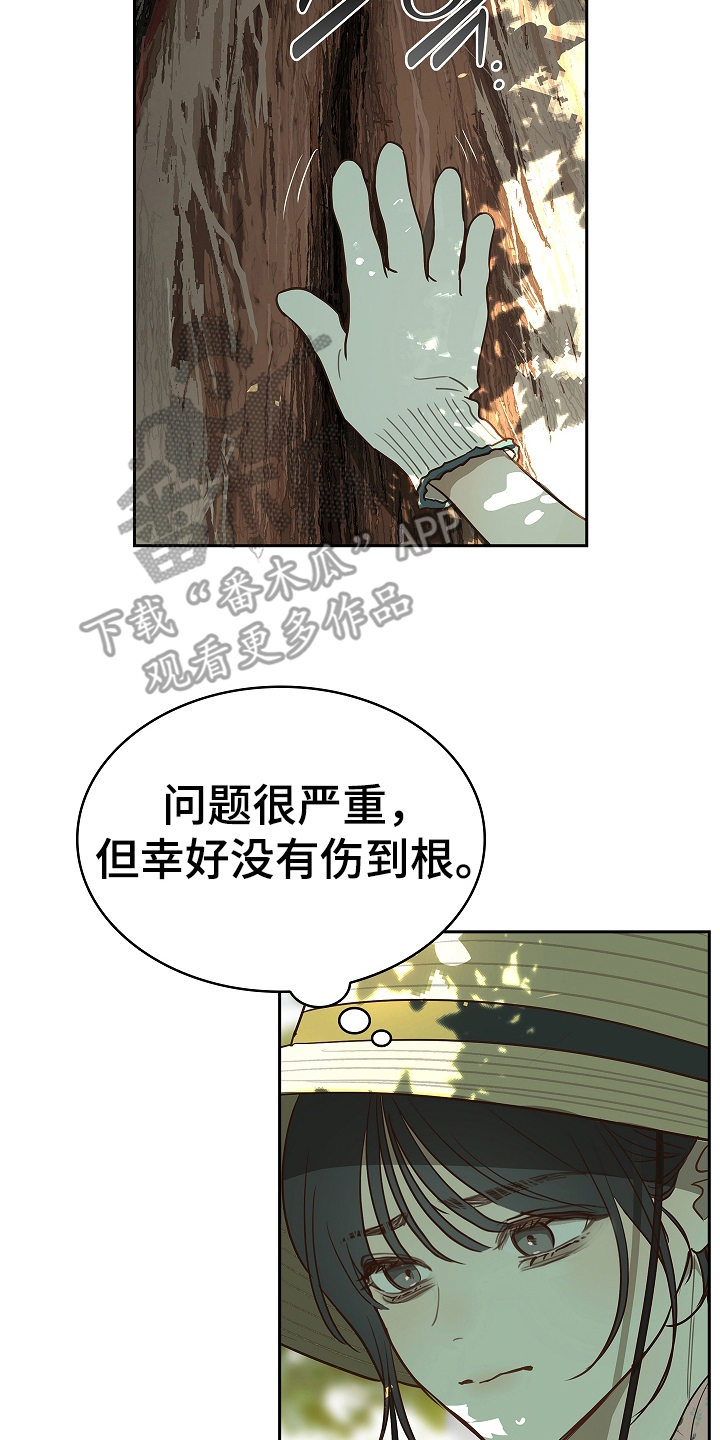 花是诱饵漫画在线看免费版在线看漫画,第14章：致命的种子4图