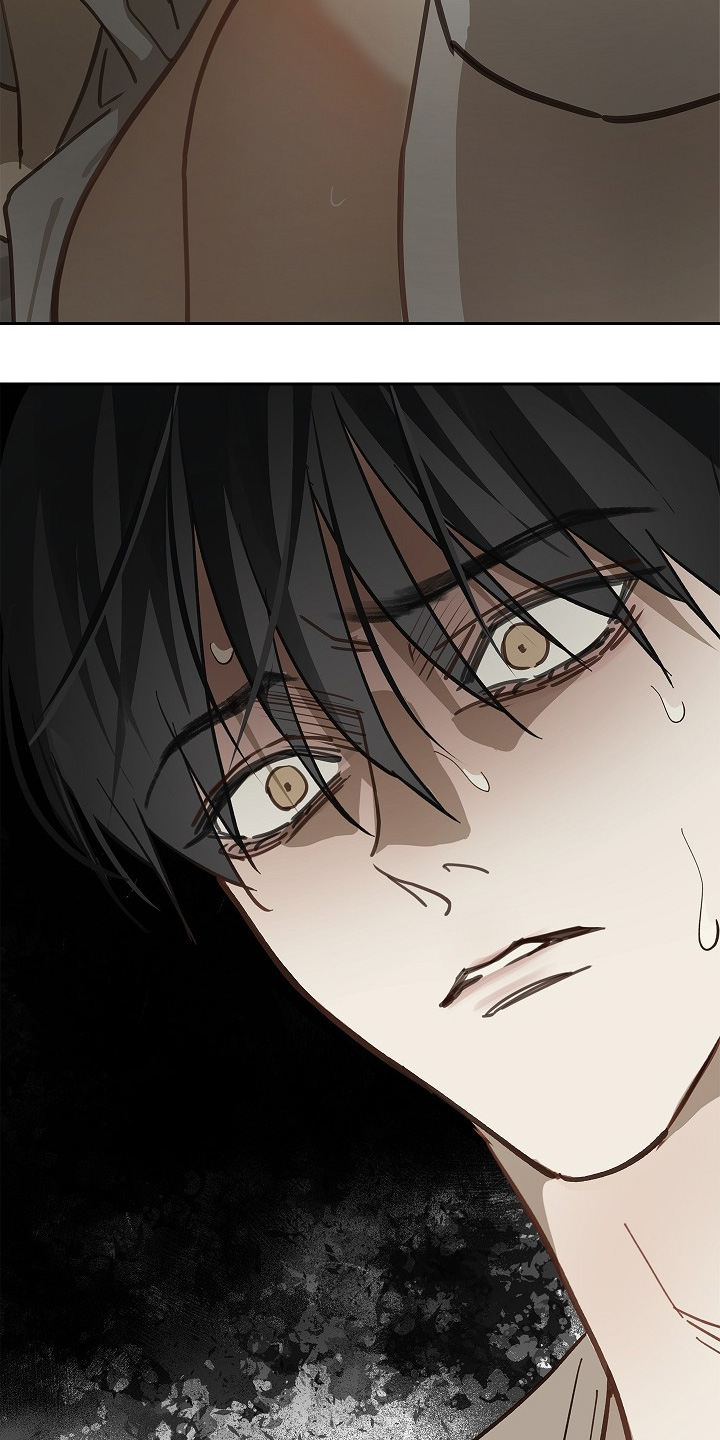 花是诱饵相关视频漫画,第48章：想起来了4图