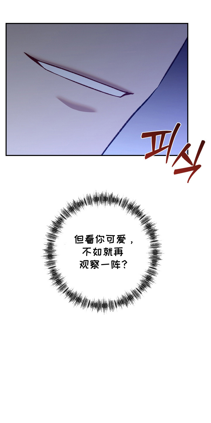 暗码图片漫画,第13章：观察一阵5图