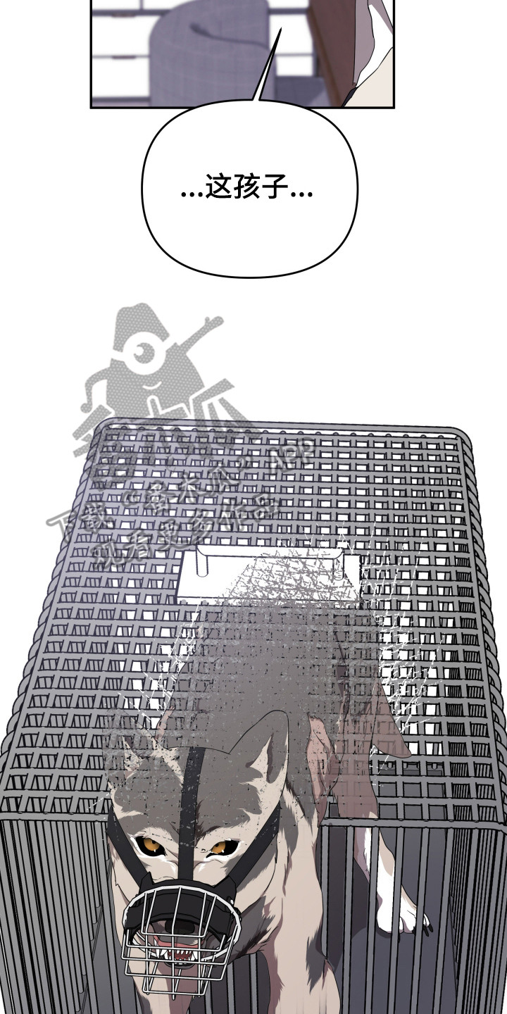 猛宠旧情漫画,第3章：狼崽5图