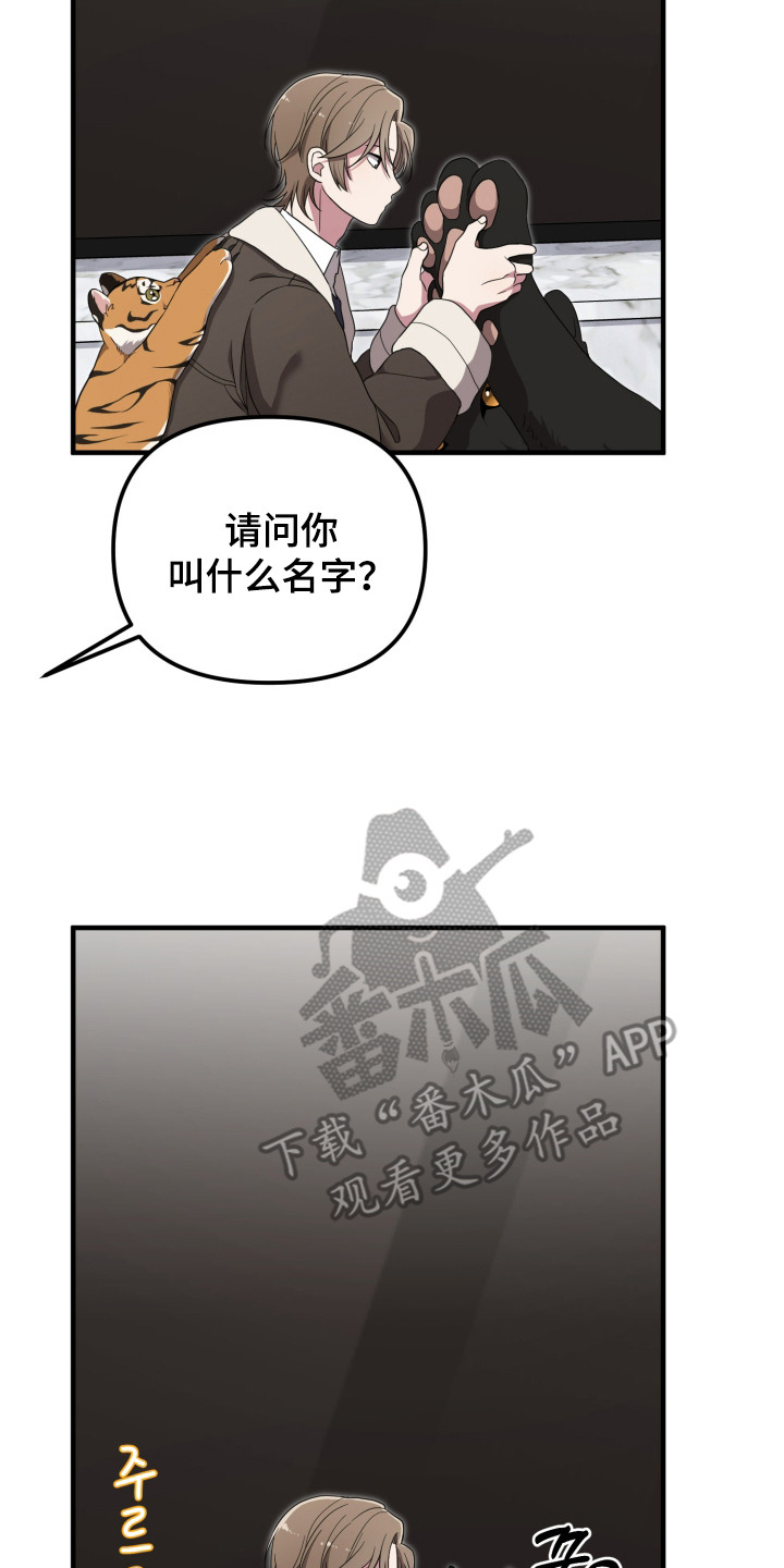 猛宠旧情漫画,第6章：能力出色3图