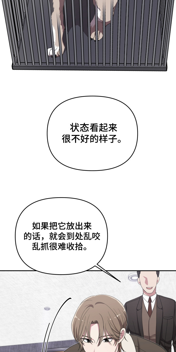 猛宠旧情漫画,第3章：狼崽1图