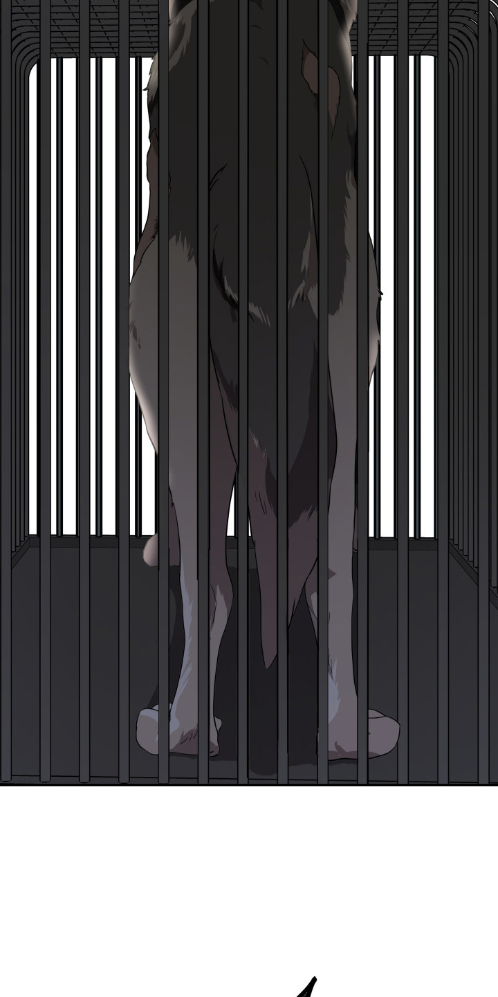 猛宠旧情漫画,第3章：狼崽1图