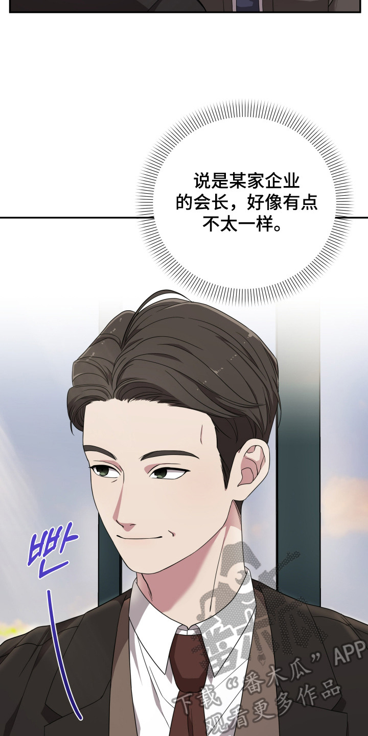 猛宠旧情漫画,第2章：宠物管理3图