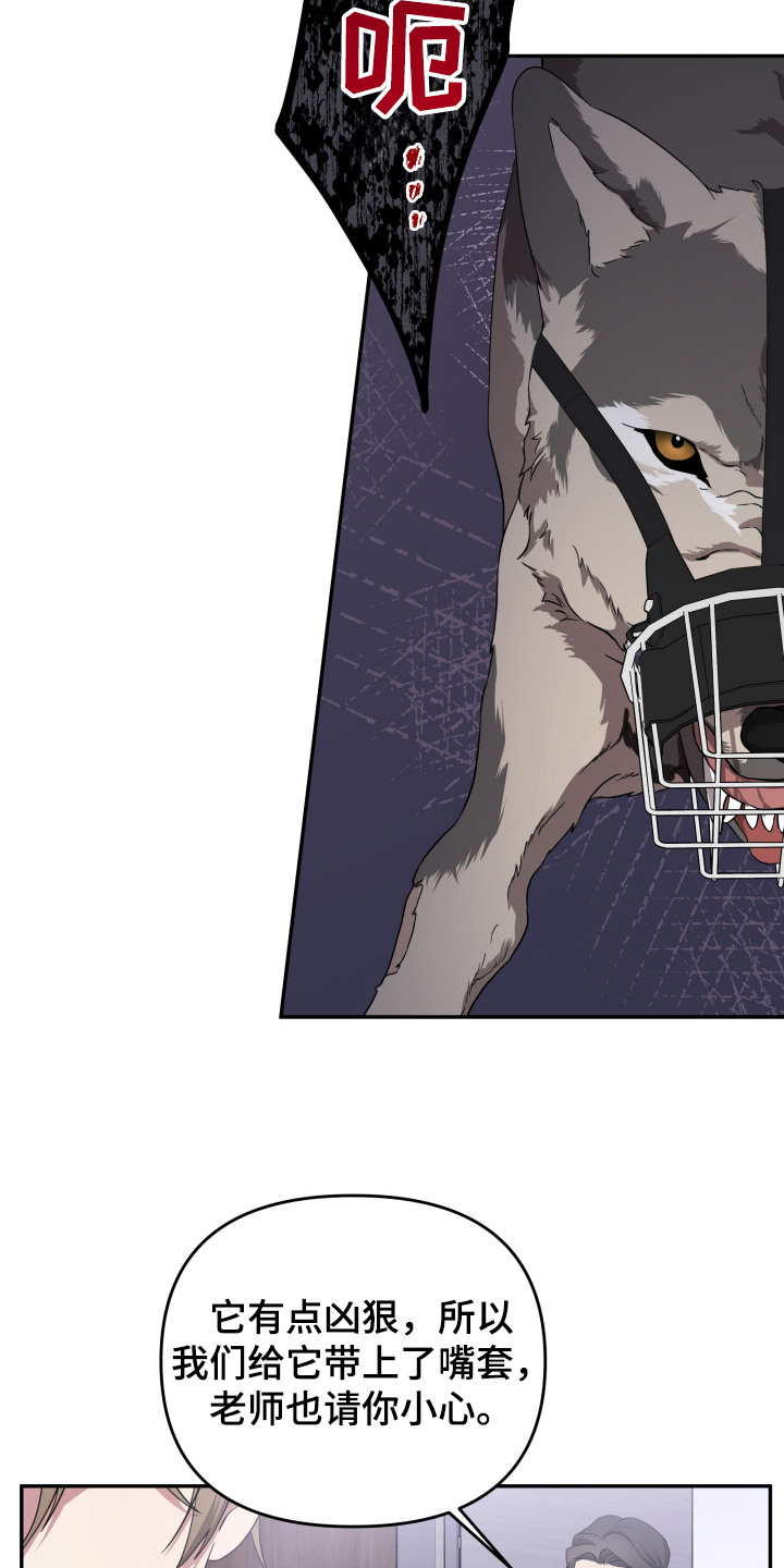 猛宠旧情漫画,第3章：狼崽3图