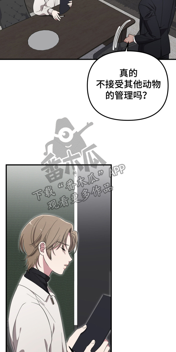 猛宠旧情漫画,第8章：不喜欢3图