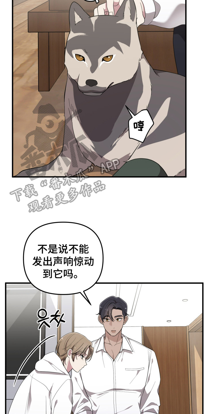 猛宠旧情漫画,第11章：分散注意力3图