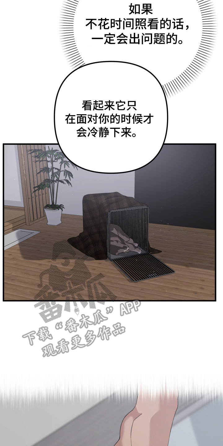猛宠旧情漫画,第7章：兽人3图