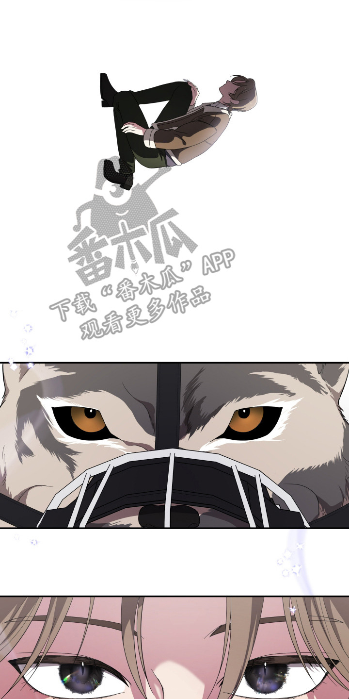 猛宠旧情漫画,第3章：狼崽3图