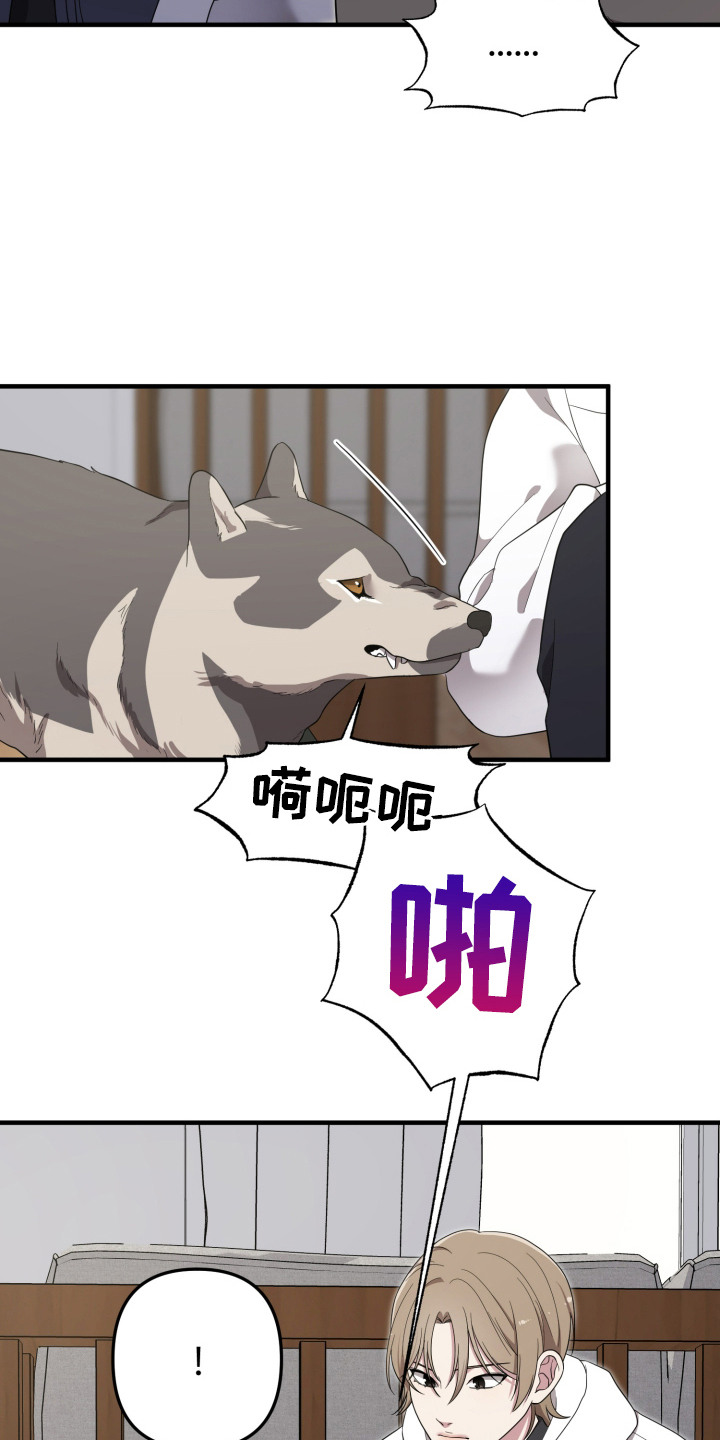 猛宠旧情漫画,第11章：分散注意力3图