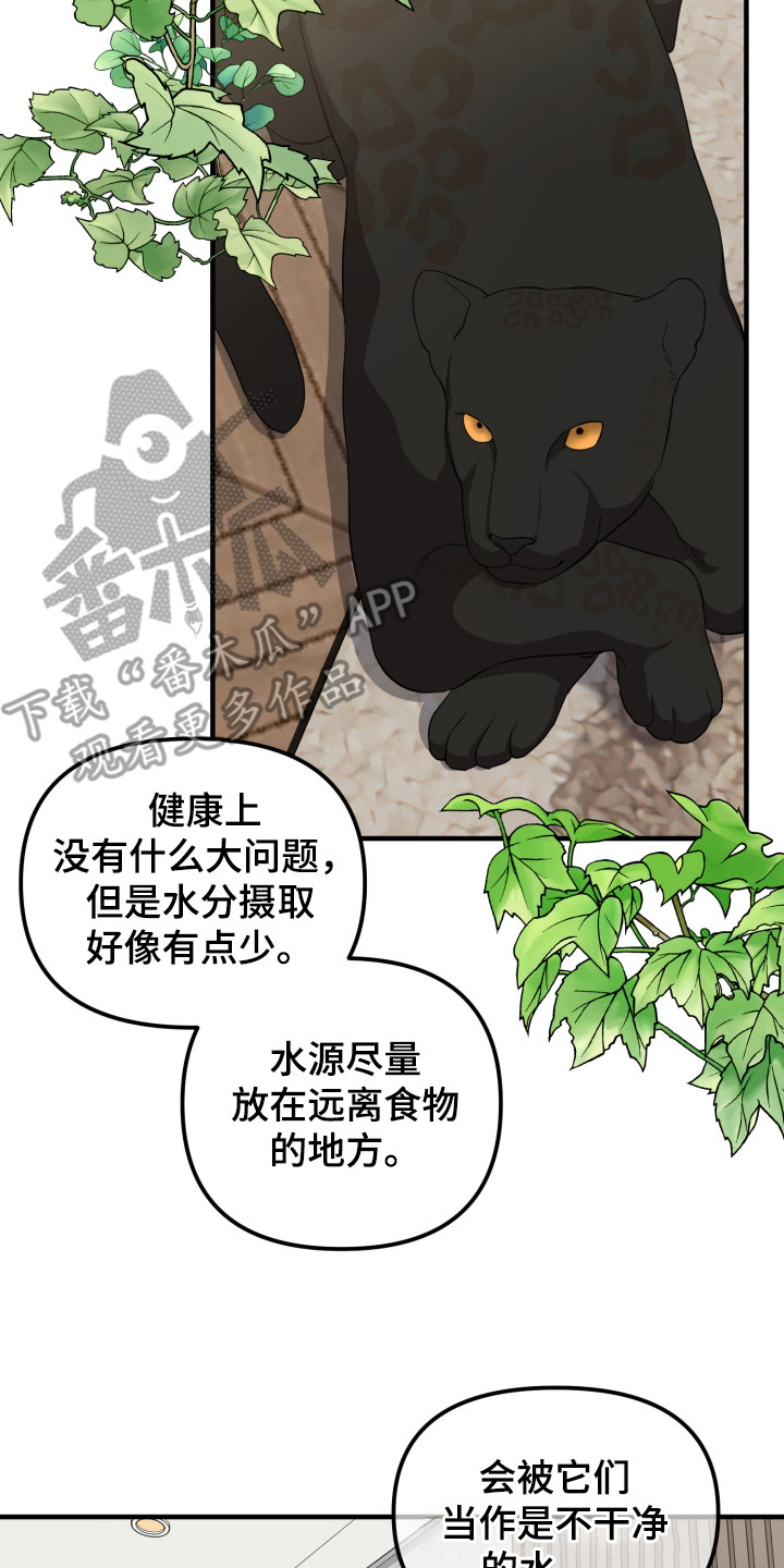 猛宠旧情漫画,第6章：能力出色4图
