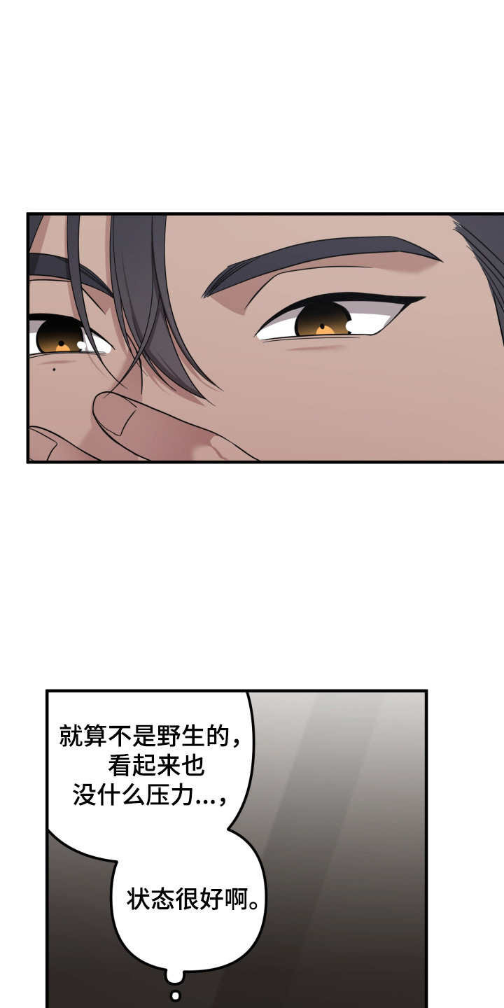 猛宠旧情漫画,第6章：能力出色2图