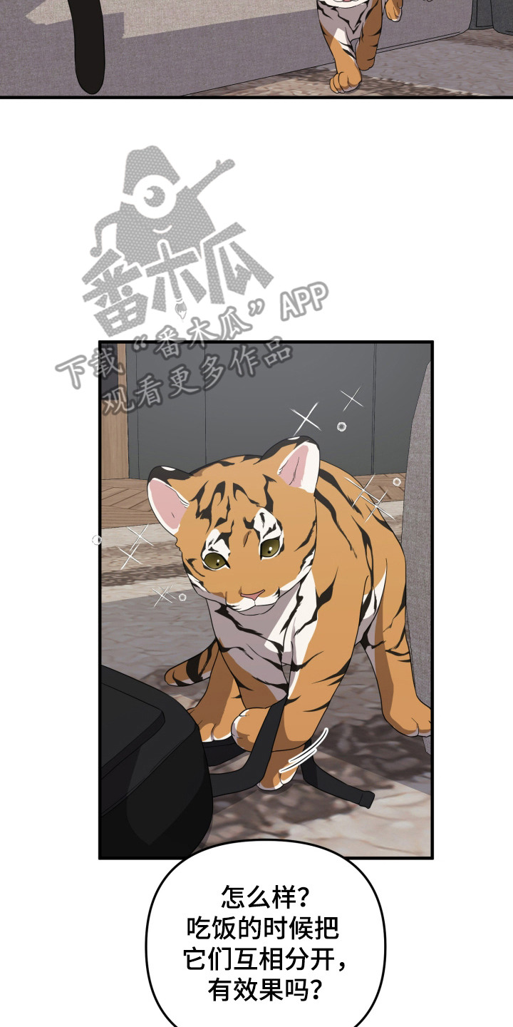 猛宠旧情漫画,第9章：高额报酬5图