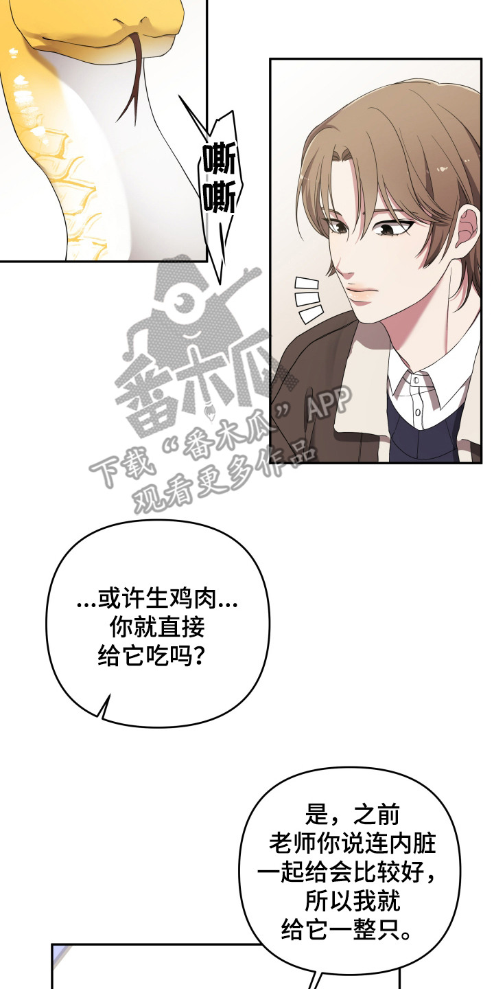 猛宠旧情漫画,第2章：宠物管理4图