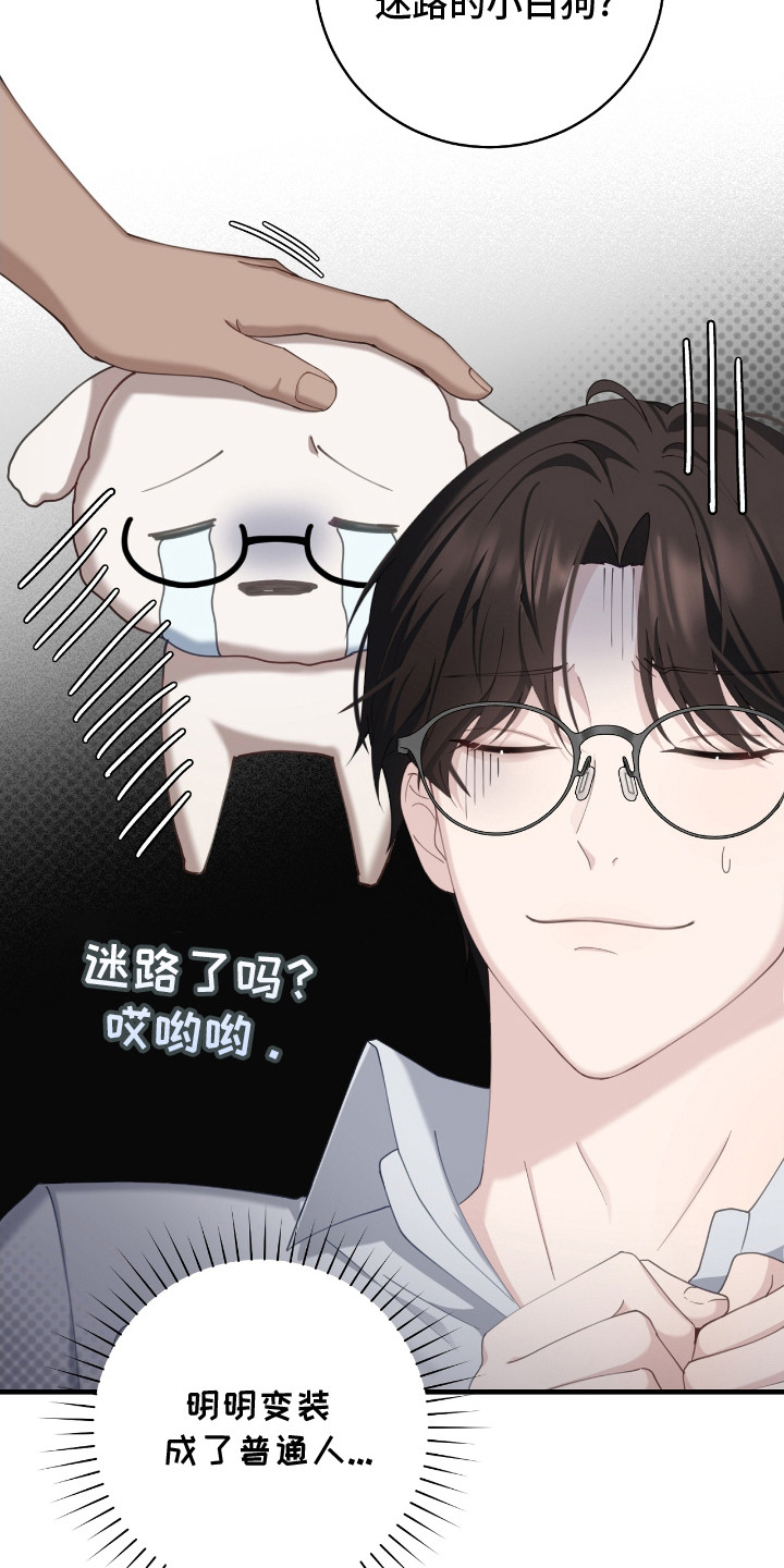 异烟肼漫画,第13章：迷路小狗1图