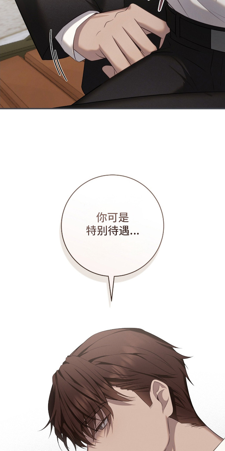 异能包括漫画,第7章：特别待遇4图