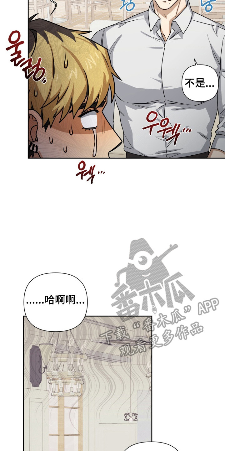 奶酪漫画,第5章：委屈4图
